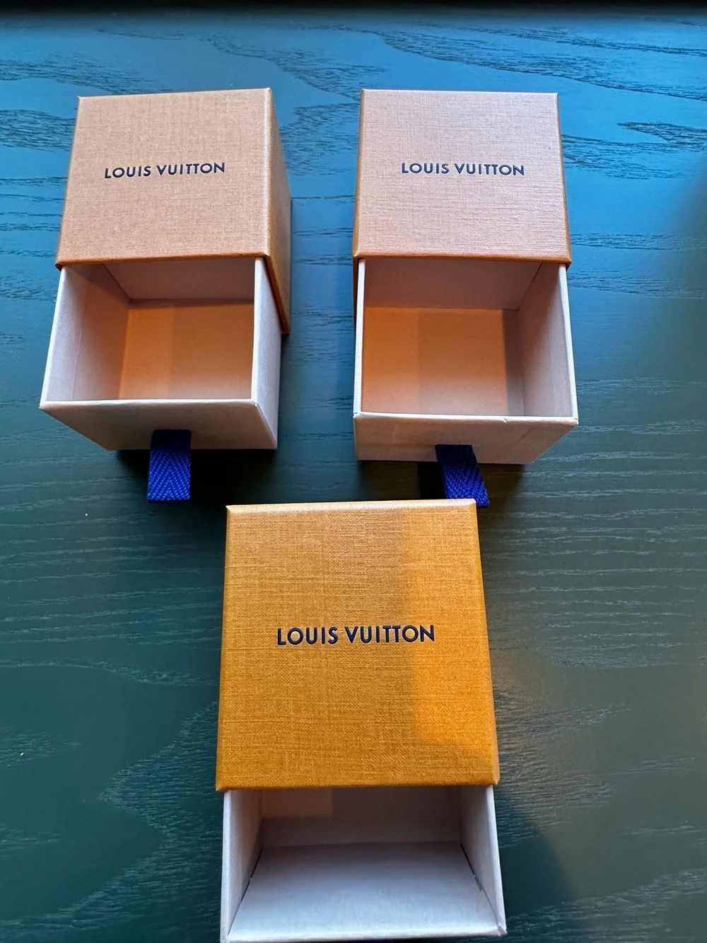Louis Vuitton authentic louis